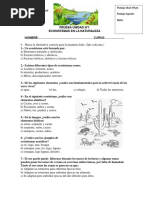 Prueba Ecosistemas 4° Año