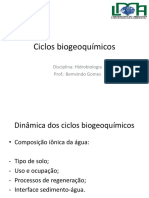 Ciclos Biogeoquímicos