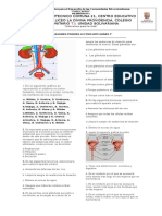 Prueba Séptimo