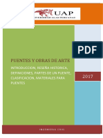 366771679-PUENTES-Y-OBRAS-DE-ARTE.pdf