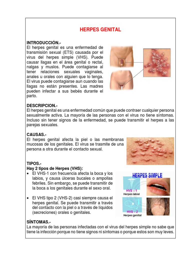 Herpes Genital Pdf Herpes Simple Infeccion Transmitida Sexualmente