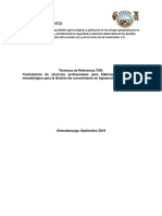 TDR Cosnultoria Manual Metodologico 020919