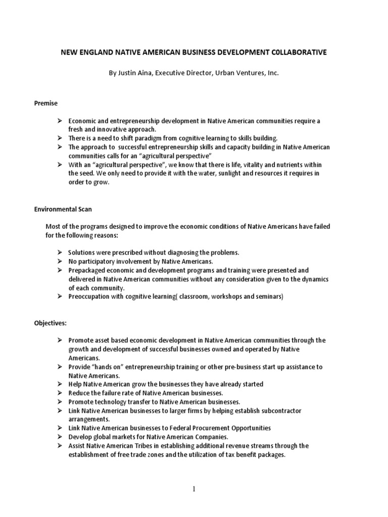 Native American Business Development Strategies | PDF | Economic ...