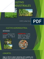 Cultivo Agroindustriales