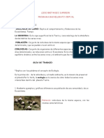 Tarea Juli Ciencias Naturales 3