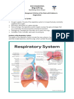 Respiratory System Anatomy, Assessment & Diagnostic Tests
