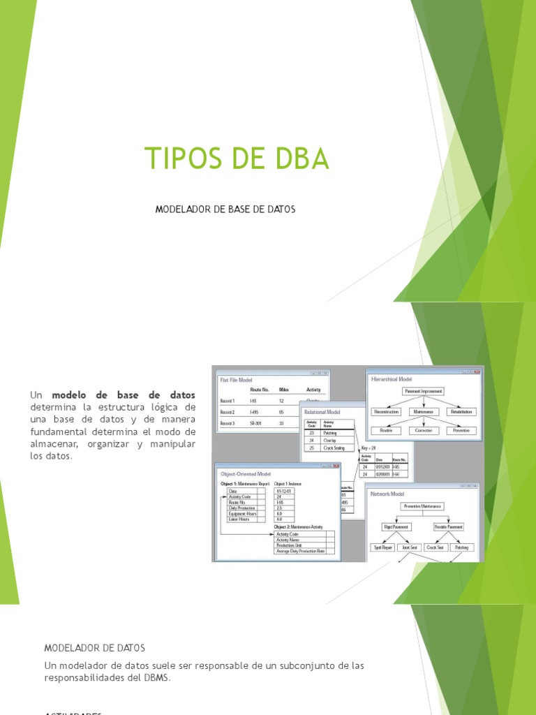 Tipos de DBA: Roles y Funciones | PDF | Bases de datos | Tecnología digital