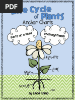 PlantLifeCycleAnchorChartsFREEBIE PDF