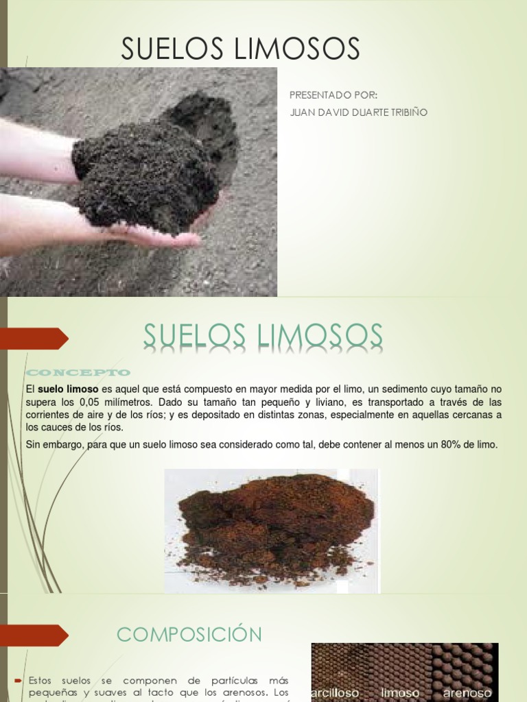 Características del Suelo Limoso | PDF | Descomposición | Suelo