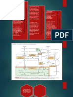 bioquímica  acetil CoA y NADPH.pptx