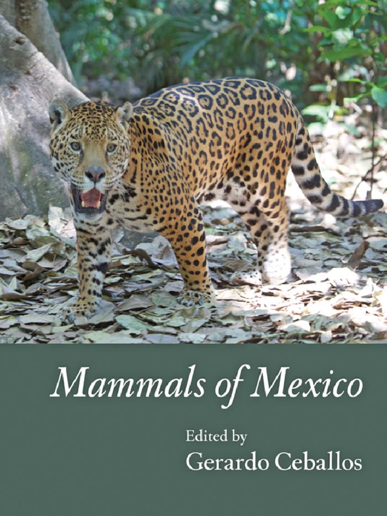Mammals Of Mexico Pdf Conservation Biology Grizzly Bear