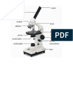 Historia Del Microscopio