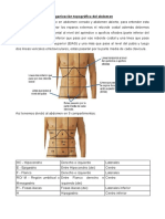 Organización Topográfica Del Abdomen