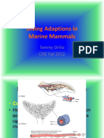 Diving Adaptions in Marine Mammals: Tammy Orilio CISE Fall 2012
