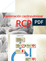 RCP Basico