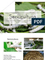 Sericicultura