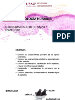 Tejido Epitelial Usmp Histologia