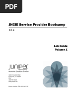 Jncie-Sp-12.a LG v1