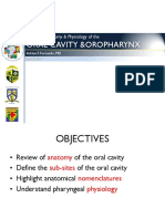 Fernando Oral Cavity Anatomy