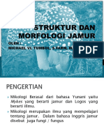 Struktur Dan Morfologi Jamur