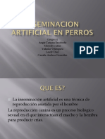 Inseminacion Artificial en Perros