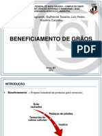 Beneficiamento de Grãos (EAA) PDF