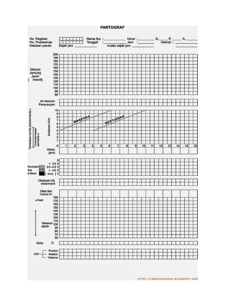 Lembar Partograf | PDF
