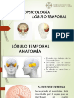 Lóbulo temporal: anatomía, funciones y patología en