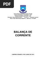 Relatório 10 - Balança de Corrente