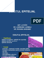 01.tesut Epitelial 2016 2017