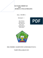 Laporan Hasil Observasi