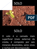 Aula 4 - Solo PDF