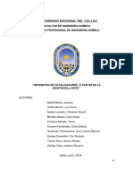 INFORME-DE-PARTÍCULAS-MONTMORILLONITA.docx