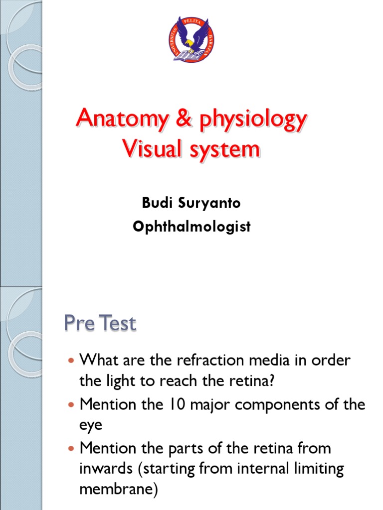 Anatomy and Physiology of the Eye | PDF | Visual System | Human Eye