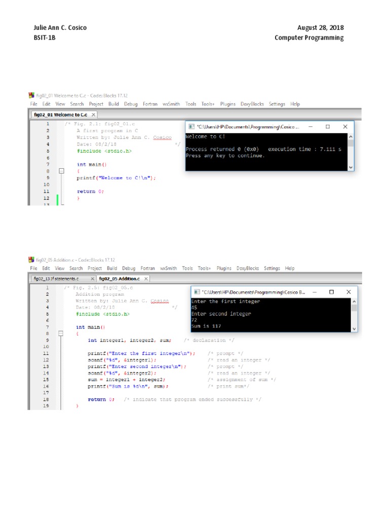 Project in Programming | PDF