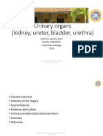 Urinary Organs (Kidney, Ureter, Bladder, Urethra) : Anatomy Lecturer Team Faculty of Medicine Universitas Airlangga 2016