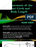 Measurement of The Heart Girth and Body Length