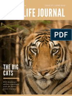 Yellow and Tiger Nonfiction Magazine Cover