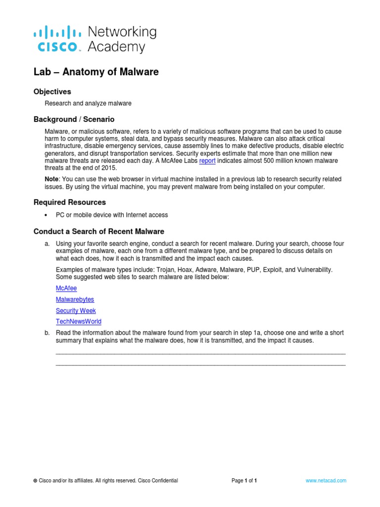 6.2.1.11 Lab - Anatomy of Malware | PDF