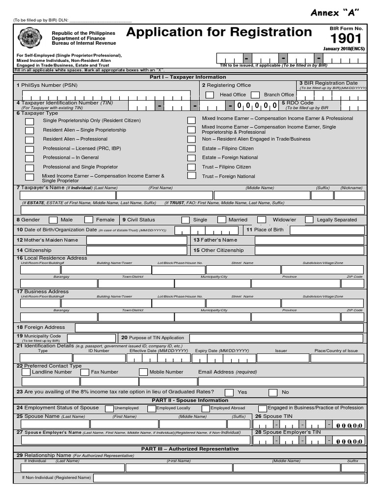 An Application for Taxpayer Registration Filing Requirements and