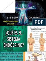 Expocicon Sobre El Sistema Endocrino