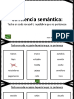 Fichas de Conciencia Semantica