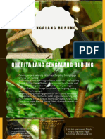 Sengalang Burung