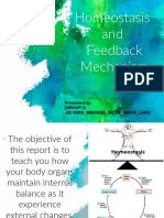 Homeostasis and Feedback Mechanism: Presented By: (GROUP 4) de Vera - Miranda - Dizon - Guico - Lapiz