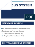 NERVOUS SYSTEM.pptx