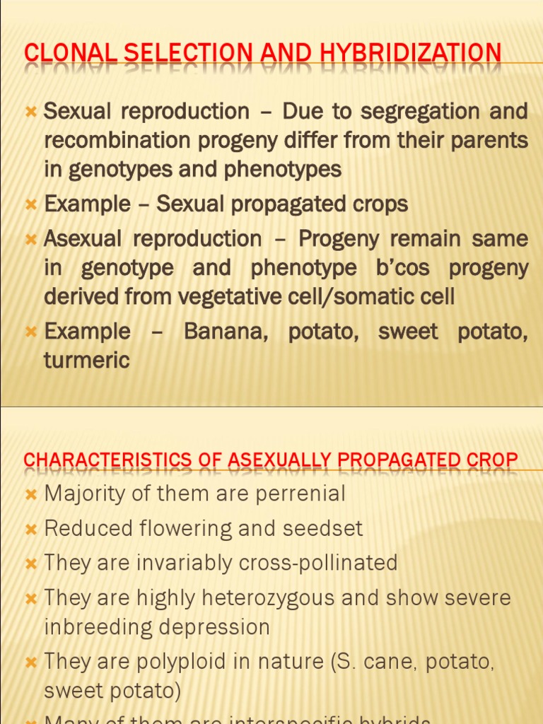 Clonal Selection Cloning Plant Breeding