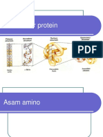 STRUKTUR PROTEIN