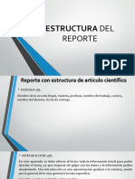 Estructura Del Reporte