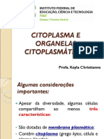 AULA- CITOPLASMA E ORGANELAS - ok.ppt