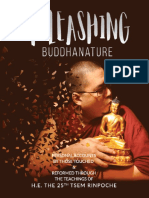 Unleashing Buddha Nature